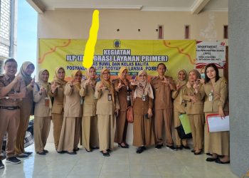 Inovasi Teknologi Dalam Layanan Kesehatan, Kini Posyandu Lebih Efisien