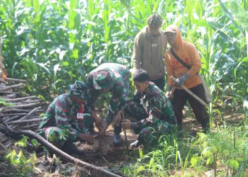 Kodim 0718/Pati Gelar Kegiatan Penghijauan Bersama Masyarakat di Desa Porang Paring