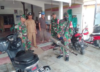 Cegah DB, Babinsa Kompak Bantu Kegiatan Fogging