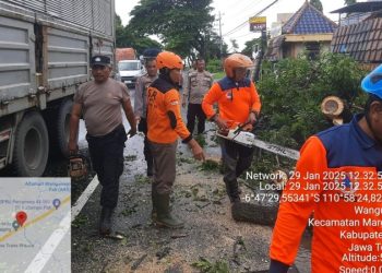 Polsek Margorejo dan Relawan BPBD Evakuasi Pohon Tumbang di Jalan Raya Pati – Kudus