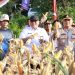 Polres Rembang dan Petani Bersinergi dalam Panen Raya Jagung