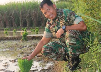 Teknologi Mikroba Hayati, Dandim Pati Turun Lokasi