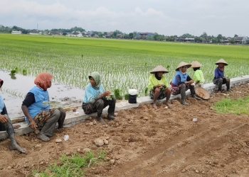 Proyek Talud Banprov Dengkek Jadi Contoh Tata Kelola Desa Responsif dan Transparan