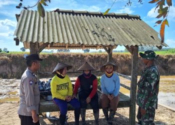 Perkuat Kedekatan TNI-Polri dengan Warga, Ibu – Ibu Apresiasi Program TMMD