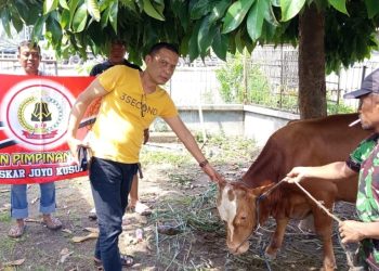 Kaum Duafa Terima Ratusan Daging Qurban, Ketut Hadir